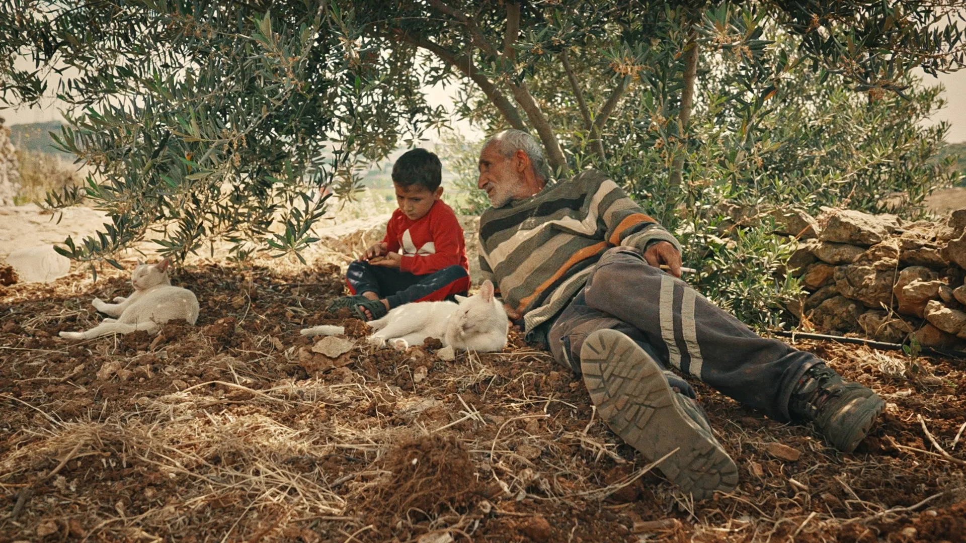 Atta Jaber and his son under an olive tree